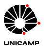 logo_unic
